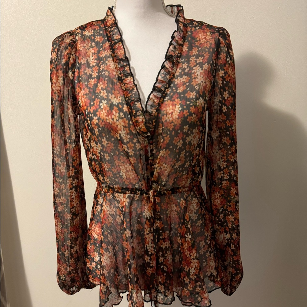 COPY - Lulu’s small shear long sleeved blouse